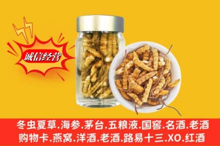 铜仁沿河县回收散虫草